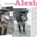 alexisbefore