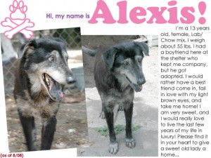 alexisbefore