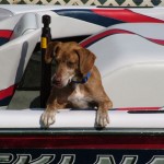 freddieinboat1