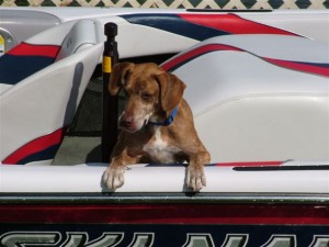 freddieinboat1