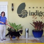 indigo_dustinonwalk