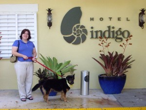 indigo_dustinonwalk1