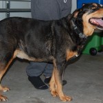 chico1