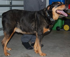 chico1