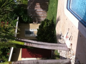 gracenewsunbathingcropped