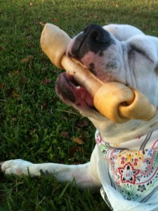 lolacandicecutestbone